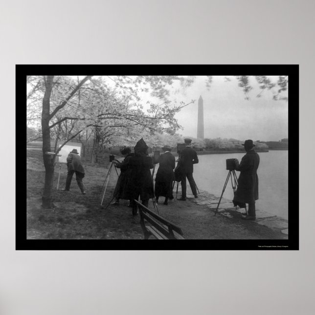 Affiche Artistes et cerisiers à Washington, DC 1920 (Devant)
