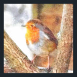 Affiche Artistic Robin Redbreast Perched<br><div class="desc">Artistic Robin Redbreast Perched Between Bare Branches Watercolor is a painting of a delightful robin with its bright red breast it is familiar throughout the year and especially at Christmas! A seasonal holiday design with a portent of spring Robins are unphased by human contact, often follow gardeners around the gardens,...</div>