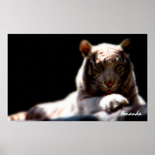 Affiche artistique sur la faune du Tigre blanc