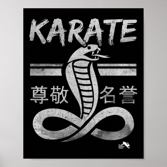 Affiche Arts martiaux Karaté Cobra  (Devant)