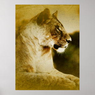 Affiche *~* Artsy AP23 Aquarelle artistique Golden LIONESS
