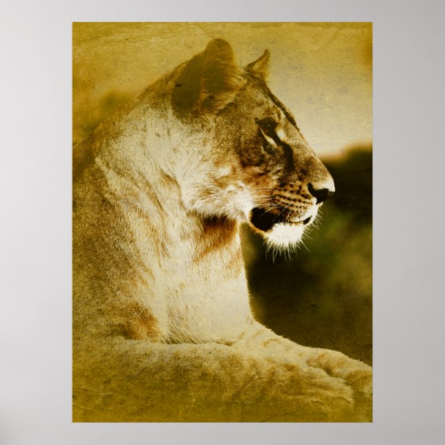 Affiche *~* Artsy AP23 Aquarelle artistique Golden LIONESS (Devant)