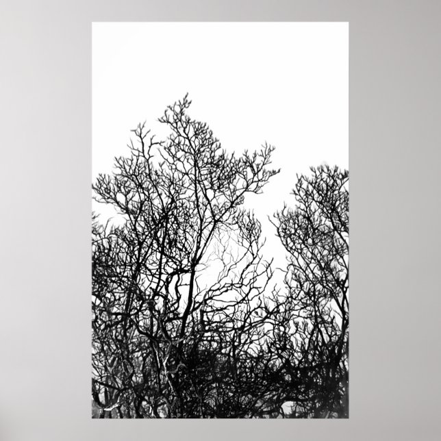Affiche Artsy Black and White Tree Modern (Devant)