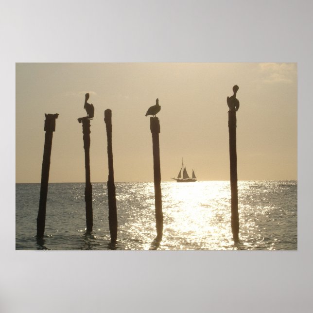 Affiche Aruba (Devant)