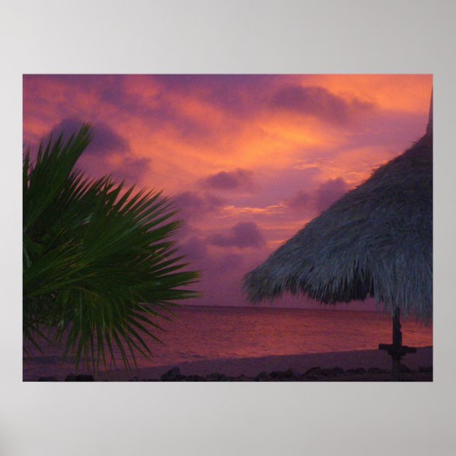 Affiche Aruba (Devant)