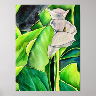 Affiche Arum blanc Lily aquarelle tropicale florale