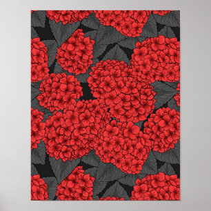 Affiche Arygdale rouge