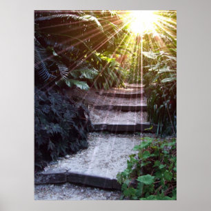 Affiche Ascension naturelle