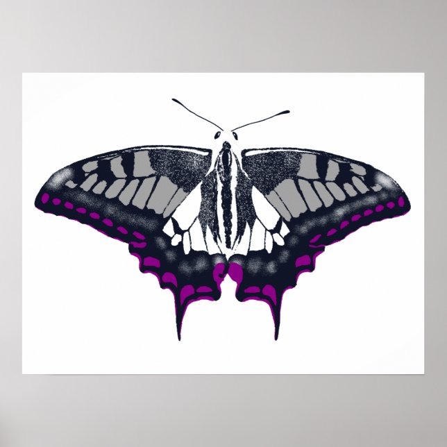 Affiche Asexual Flag Swallowtail Butterfly (Devant)