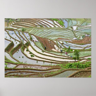 Affiche Asie, Chine, Yunnan, Jinping. Personnalité autocht