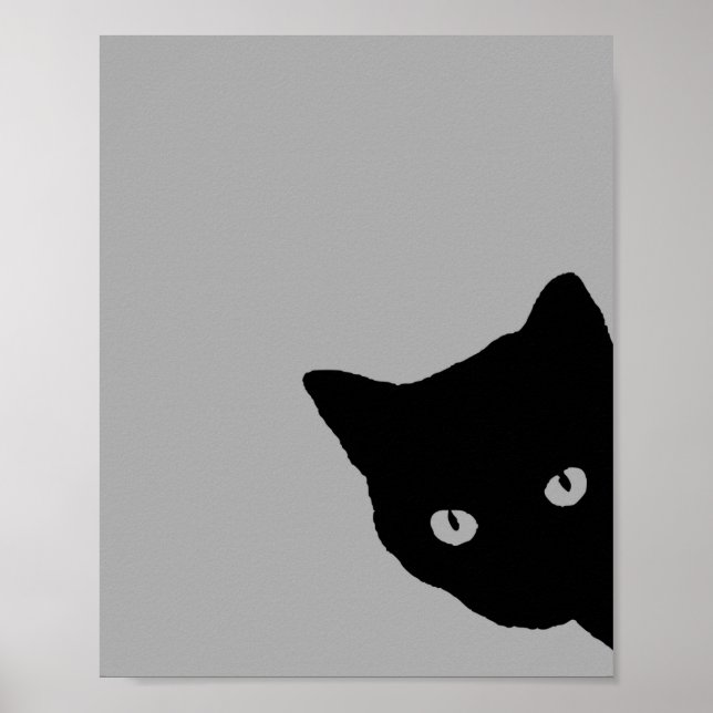 Affiche Aspect latéral Chat Noir (Devant)