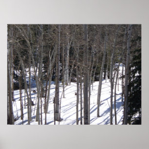 Affiche Aspen dans la neige