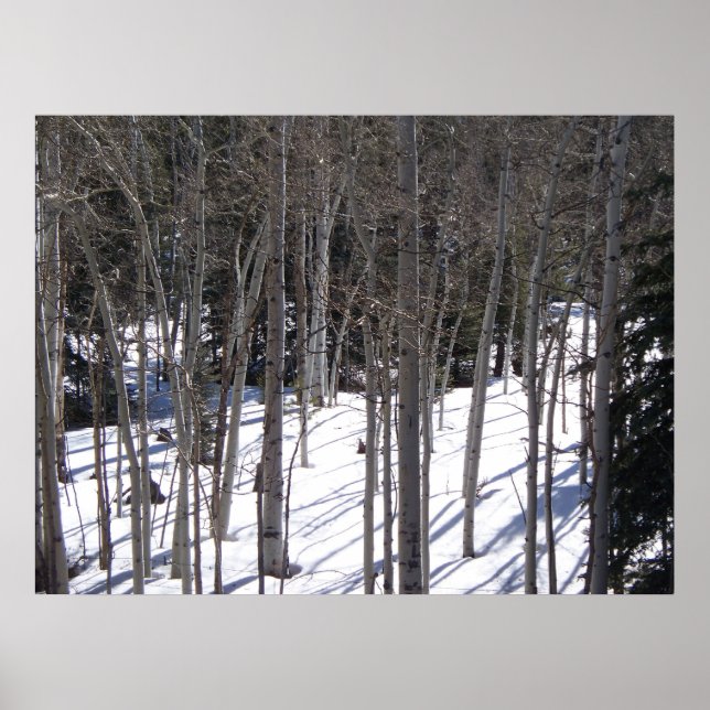 Affiche Aspen dans la neige (Devant)
