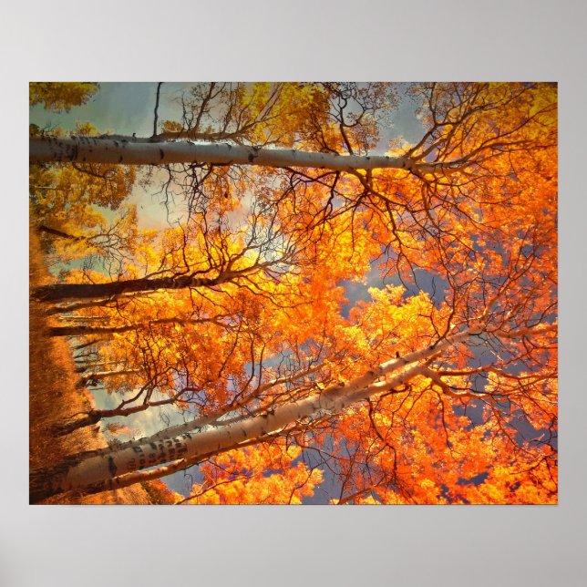 Affiche Aspens gloire (Devant)