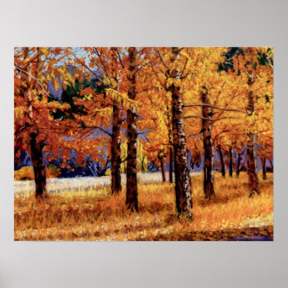 Affiche Aspens of Colorado in Vibrant Autumn Splendor