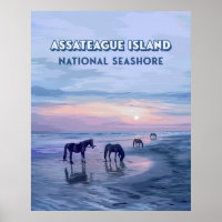 Assateague Island National Seashore Horaires Vinta