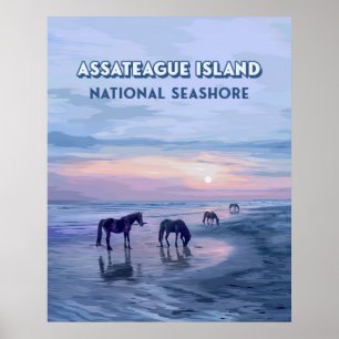 Affiche Assateague Island National Seashore Horaires Vinta
