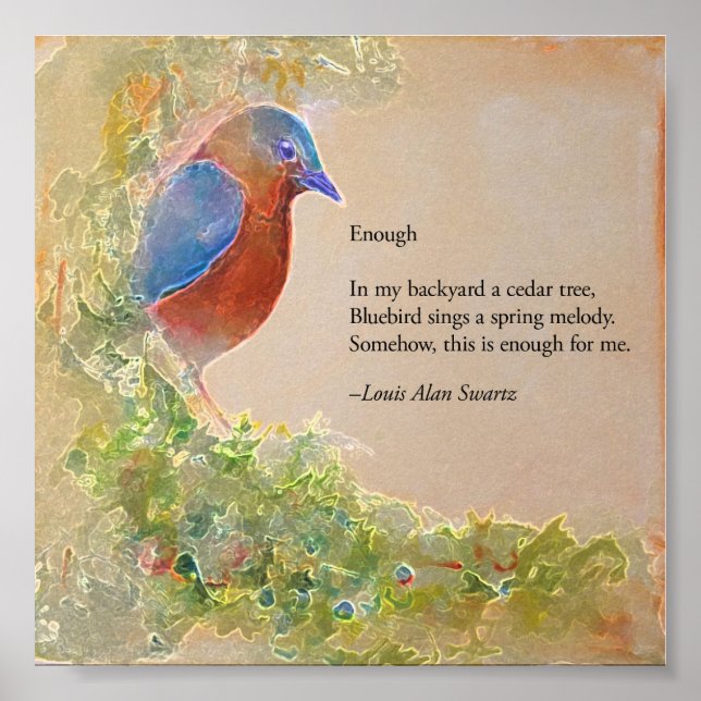 Affiche Assez (Devant)