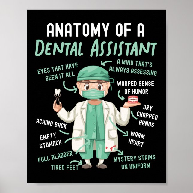 Affiche Assistant Dentaire Anatomie Dentaire D'Un Dentaire (Devant)