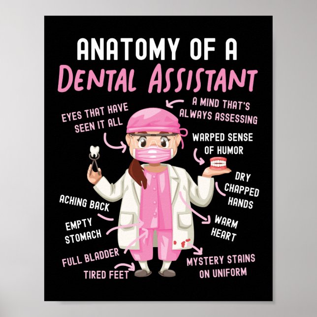 Affiche Assistant Dentaire Anatomie Dentaire D'Un Dentaire (Devant)