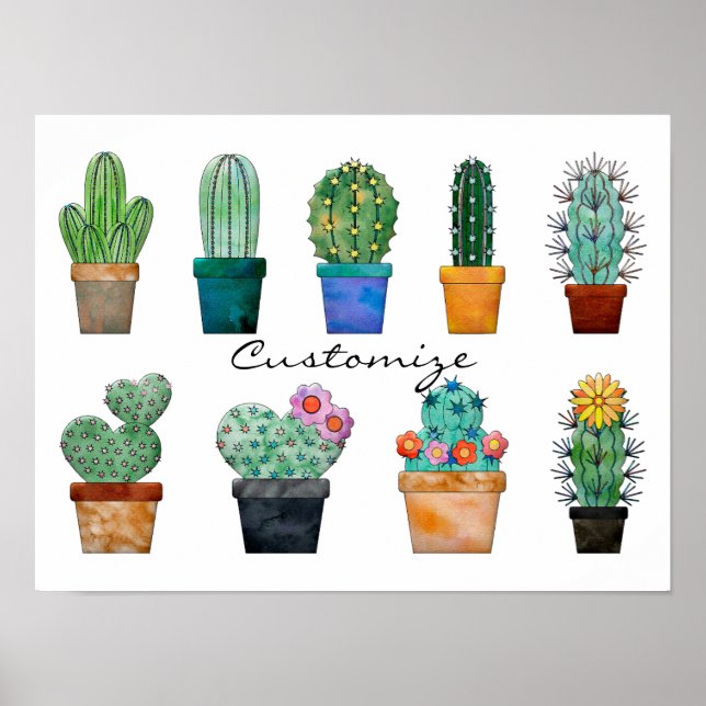 Affiche Assorted Cactus Plants Thunder_Cove (Devant)