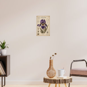 Affiche Astral Iris Musée Victorien de Botanique