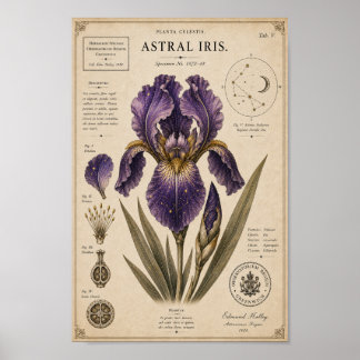 Affiche Astral Iris Musée Victorien de Botanique