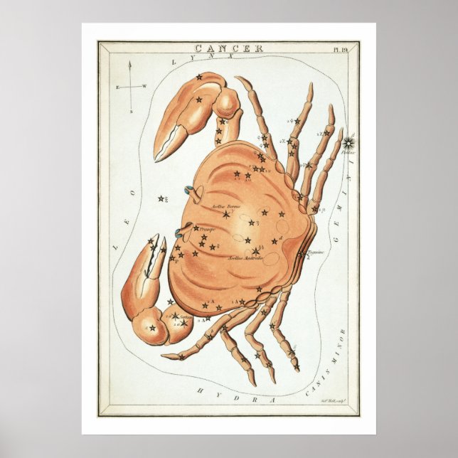 Affiche Astrologie Zodiaque Cancer (Devant)