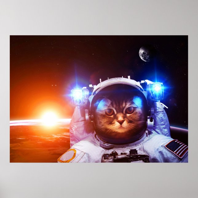 Affiche Astronaut de chat drôle (Devant)