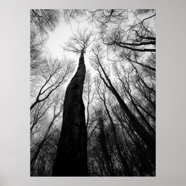 Affiche Atteindre (Devant)