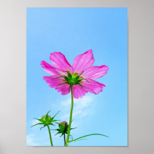 Affiche Atteindre la vie