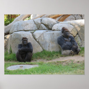 Affiche Attendons de voir