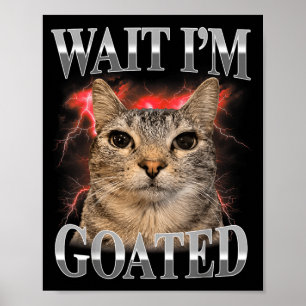 Affiche Attends Je Suis Divin Chaton Drôle Mème de Chat Dr