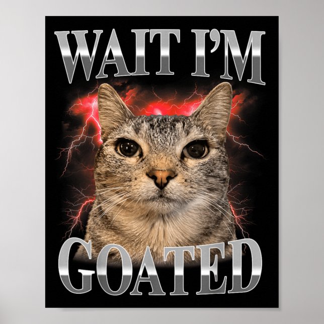 Affiche Attends Je Suis Divin Chaton Drôle Mème de Chat Dr (Devant)