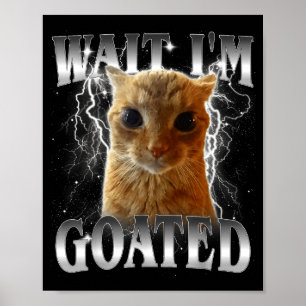 Affiche Attends je suis génial mème de chat drôle qui fixe