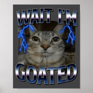 Affiche Attends je suis un chat divin Mème de chat drôle H