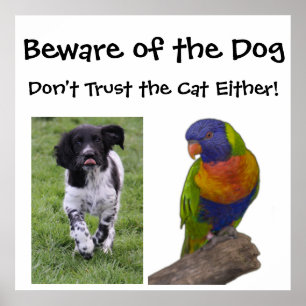 Affiche Attention au chien. Ne faites pas confiance au cha