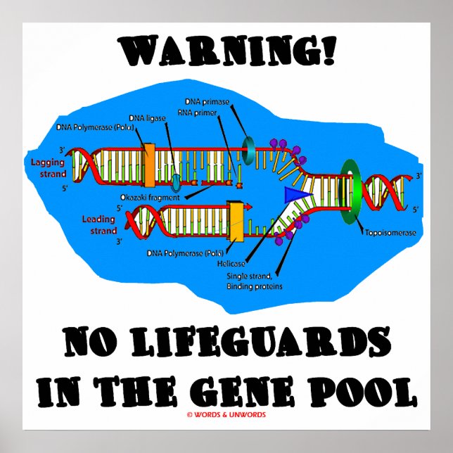 Affiche Attention! Pas De Garanties Dans Le Pool De Gènes (Devant)