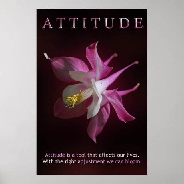 Affiche Attitude (Devant)