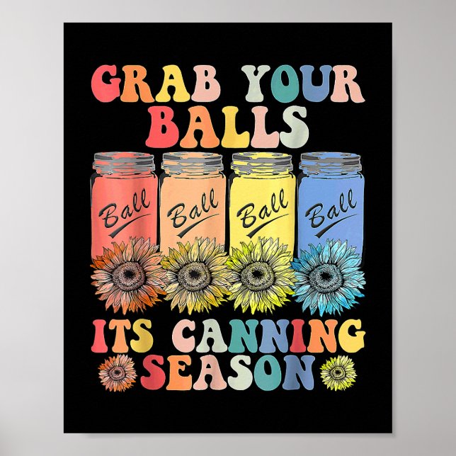 Affiche Attrapez Vos Boules Sa Saison De Canning Hippie2 (Devant)