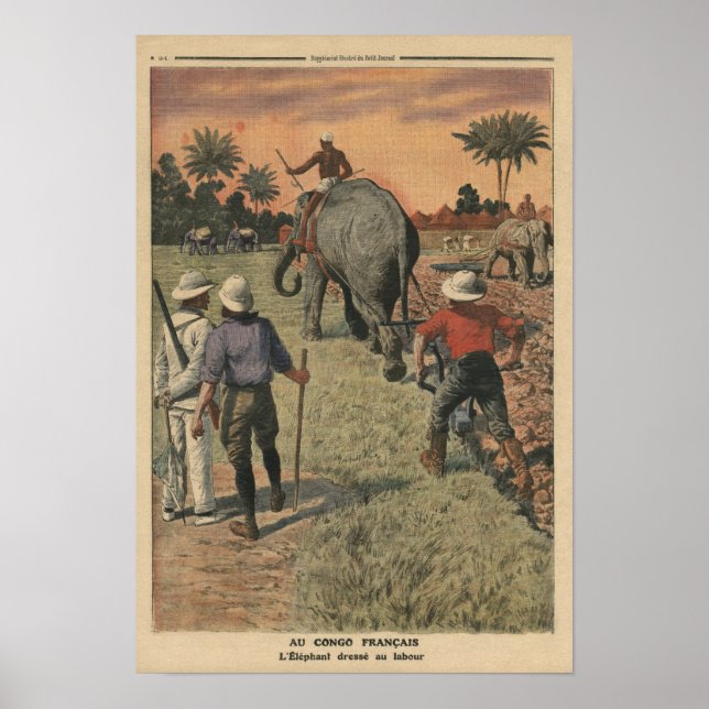 Affiche Au Congo français, l'éléphant s'est entraîné à lab (Devant)