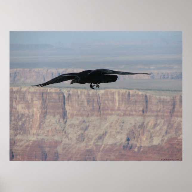 Affiche Au-dessus de tout (Devant)