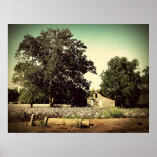 Affiche Au milieu du coton