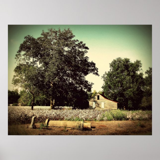 Affiche Au milieu du coton (Devant)