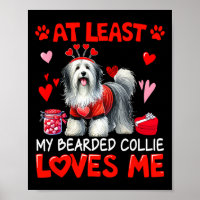 Au moins mon Bearded Collie m'aimant pour la Saint