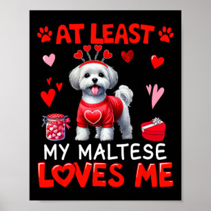 Affiche Au moins mon maltais m'aimant la Saint-Valentin en