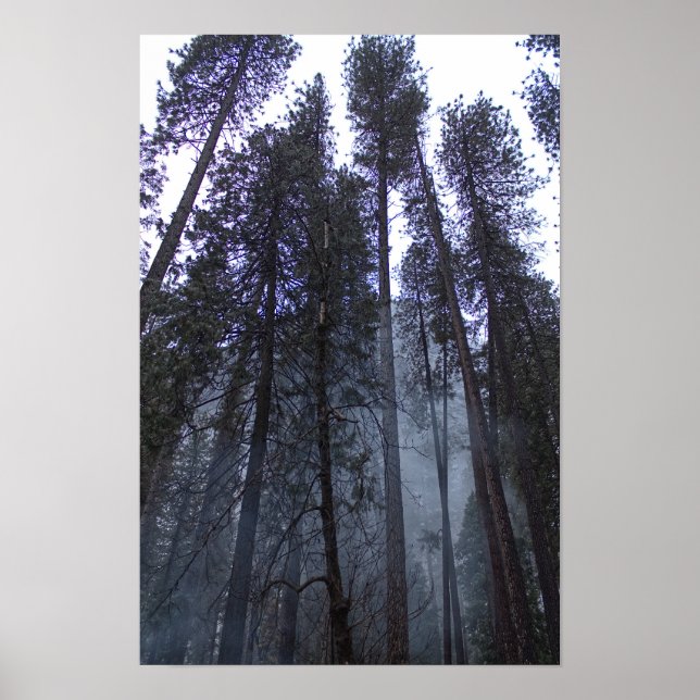Affiche Au pied de Half Dome - Yosemite (Devant)