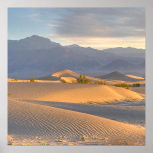 Affiche Aube de désert