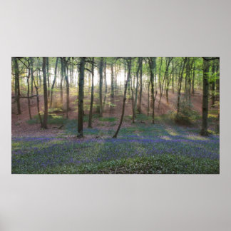 Affiche Aube du printemps