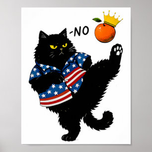 Affiche Aucun Rois En Amérique Chat Noir Nous Le Peuple